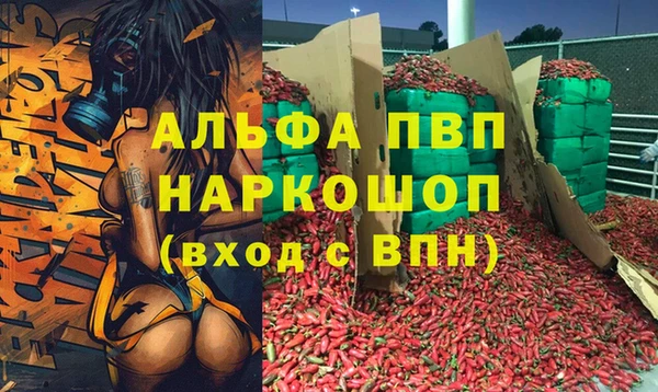 Альфа ПВП Баксан