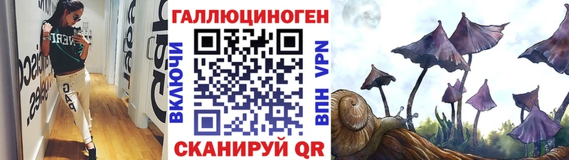 hydra маркетплейс  закладка  Петухово  сайты даркнета клад  Галлюциногенные грибы ЛСД 
